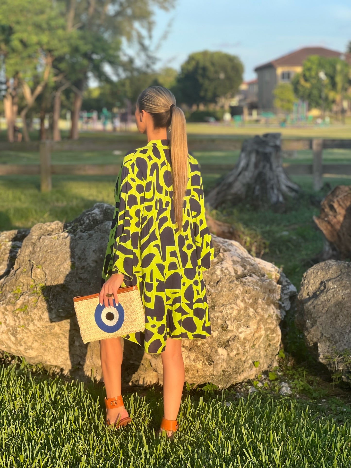 Lime and Black Dress