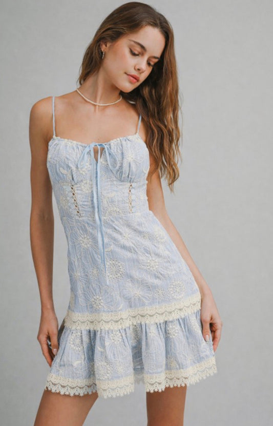 Blue Embroidered Mini Dress