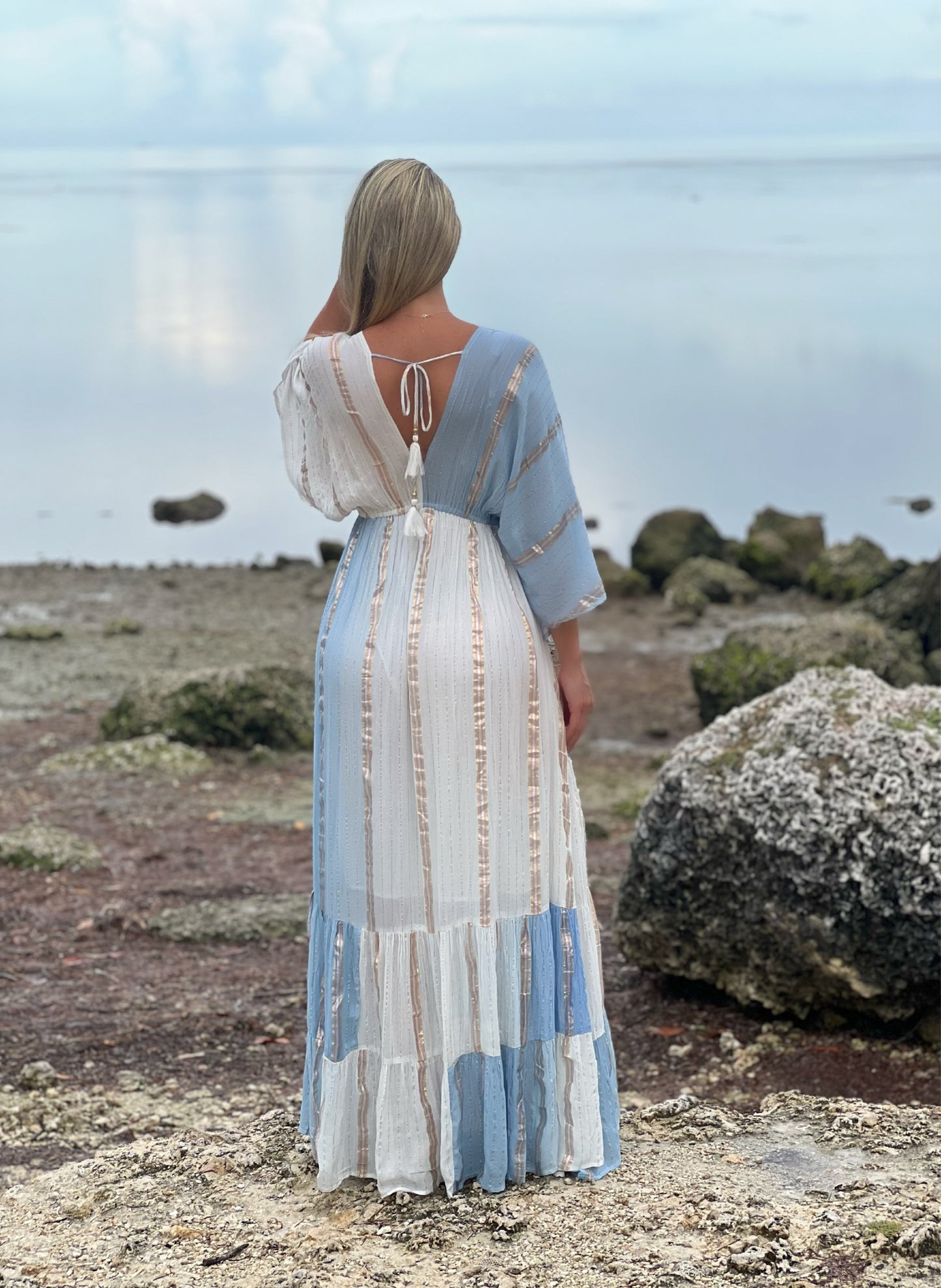 Blue + Ivory Maxi Dress